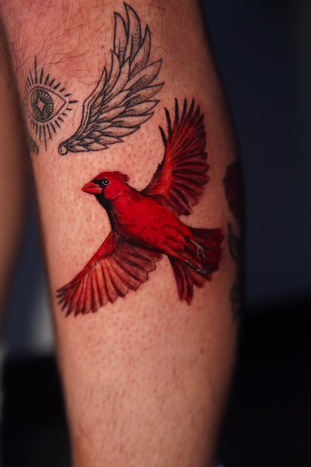 Red cardinal with open wings on the left calf/shin.